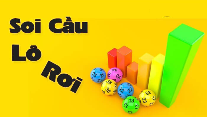 soi cau lo roi
