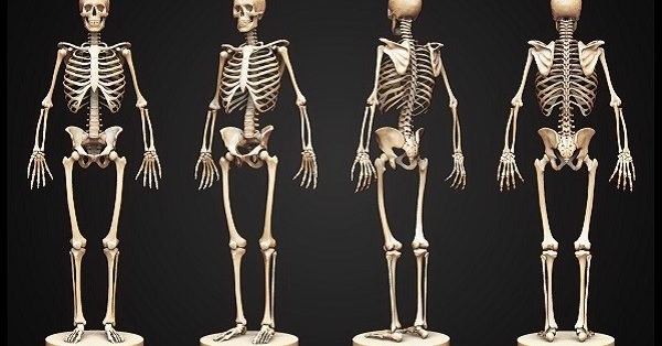 Mơ thấy xương người có ý nghĩa gì? Đánh con gì may mắn?