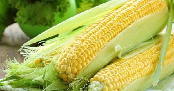 Mơ thấy bắp ngô là điềm báo gì? Đánh con gì chuẩn nhất?
